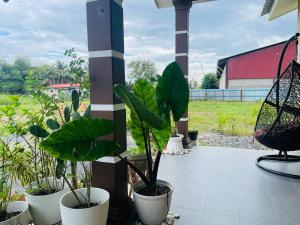 Homestay Arau by KakJa
