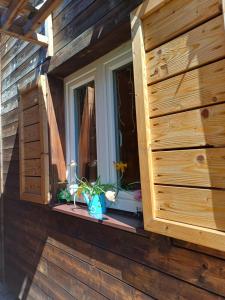 MK Apartment Karpaty