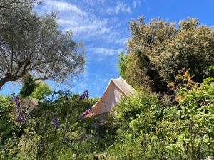 Ananda Glamping natural escape