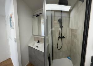 Appartements Charming and very central 2 rooms apartment : Appartement 1 Chambre