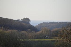 Dog friendly rural location