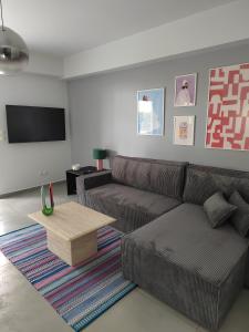 The elegant urban apartment