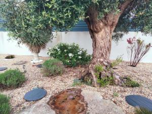 Villas Longere 5 mn de l-ocean avec piscine privee : photos des chambres