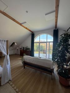 Apartament Jezioro Łabędzie