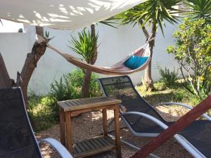 Studio avec jardin Route des sanguinaires Barbicaja