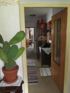 Haus Annelies Walchsee