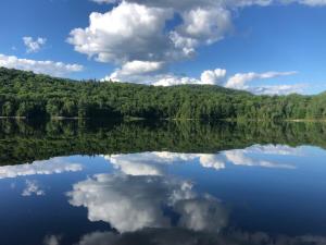 Whispering pines cabin