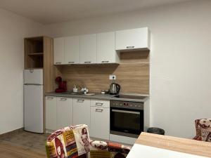 Apartman Milos - centar grada free parking