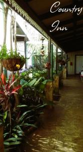 Silver Mist Guest House, Country Inn and Herberg