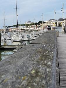 Appartement le petit platane