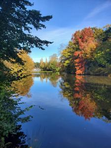 Villas Villa with terrace and garden : photos des chambres