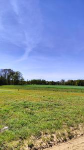 Malinówka Kruczy Borek