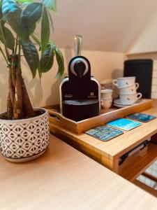 Luxurious stay with zen atmosphere in Zurenborg