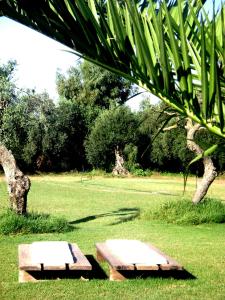 Villa with Garden View