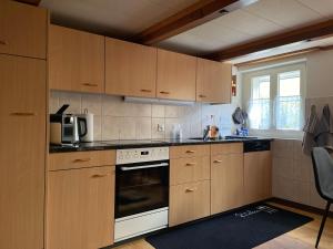 Apartment HasliView