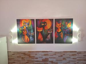 Casita de Gatas OLIA