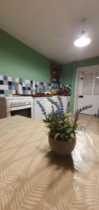 Maisons de vacances La petite Maison : photos des chambres