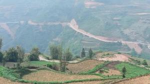 Homestay Sung Linh