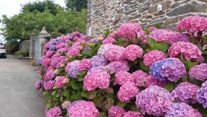 Appartements Seafront flat with indoor pool with stunning views : photos des chambres