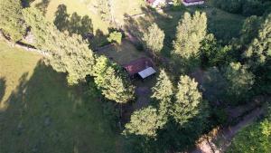 Cozy cottage in beautiful surroundings