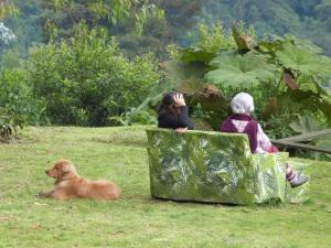 Cantares Reserva Natural