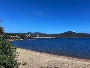 Appartements Casa 115 : photos des chambres