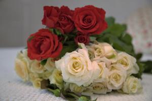 Villa DomusAntiga img10