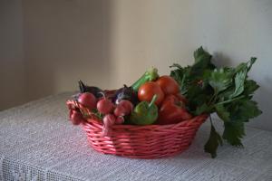 Villa DomusAntiga img13