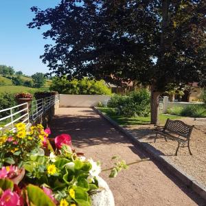 Maisons de vacances Gite de la Reserve : photos des chambres