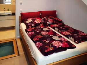 Seeapartment Wustrau