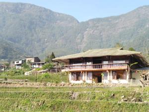 ZOZO Sapa Homestay & Trekking