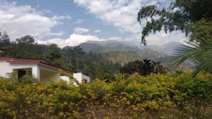 Vyantara