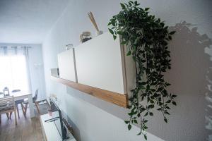 Parking gratis, ALCALA MAGNA, con NRU Y LICENCIA TURISTICA VT-13974