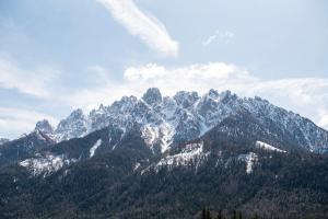 Single Room with Balcony room in Hotel Cristallo
