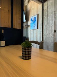 Magnifique appartement 4-6 personnes au pied des pistes à La Plagne Centre
