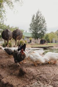 Welverdiend - Unit 2