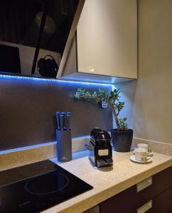 Trójkąt Warmiński - Apartament z widokiem na Stare Miasto