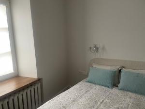 Super apartments in front of the Cathedral Square