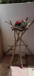 Villino Il melograno