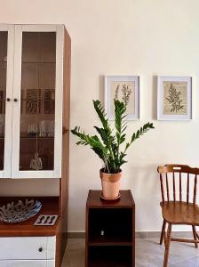 La casa dellArtemisia