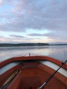 Underbar sjöutsikt nära bad och fiske