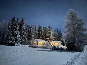 Underbar sjöutsikt nära bad och fiske