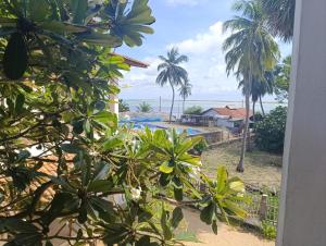 Red Coral Village Kitesurfing School