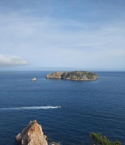 Illa mar d or l estartit costa brava illes medes