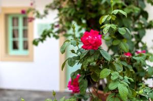 Villa Panagiota, Pefkos