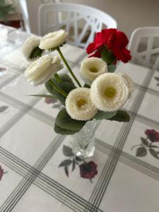 Bela vista apartamento Estoril Cascais