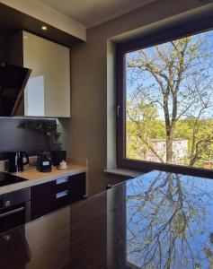 Trójkąt Warmiński - Apartament z widokiem na Stare Miasto