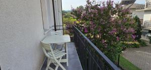 Confortevole Appartamento a Belluno
