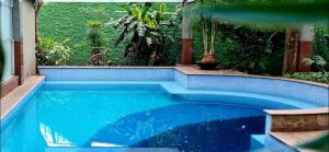 Flat Blue Tree Premium Verbo Divino