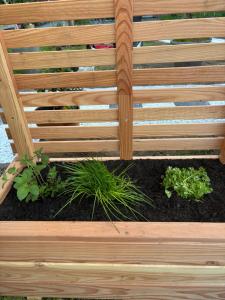 Maisons de vacances Gite du Cap Romain : photos des chambres